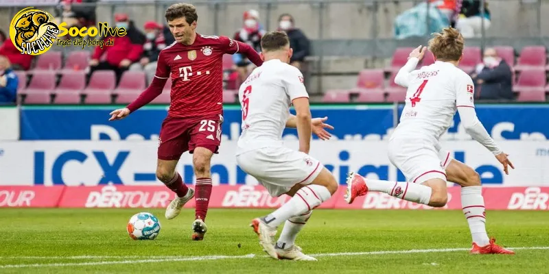 Socolive thống kê số thẻ phạt trung bình