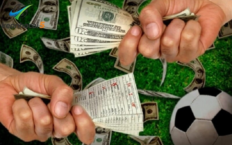 Tỷ lệ kèo bóng đá Đức: Kèo chấp 1/4 và chấp nửa trái