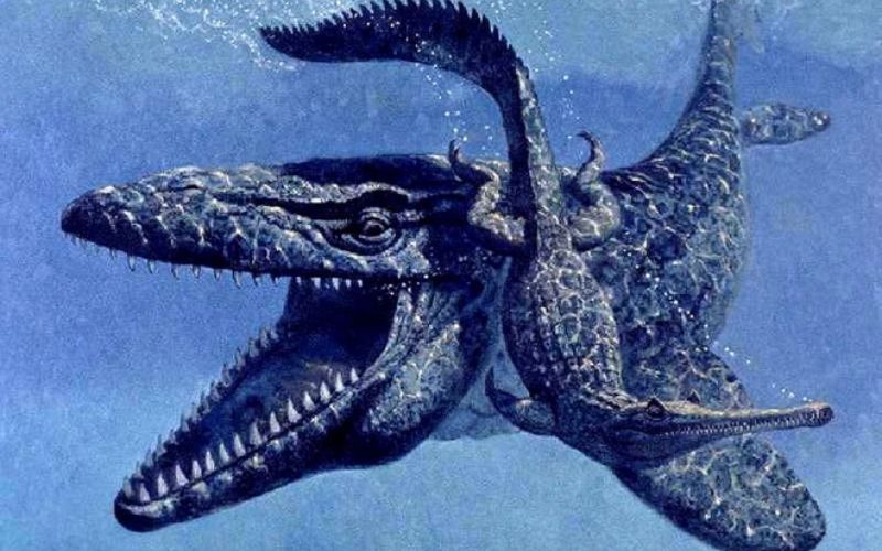 Dấu hiệu nhận biết sinh vật lớn qua di tích tự nhiên